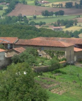 Valorisation de la ressource ligneuse