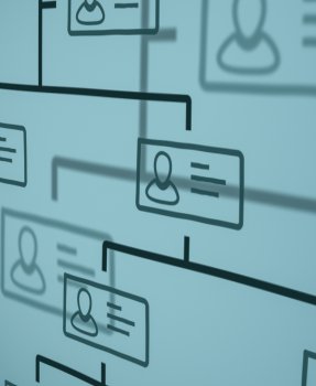 Les services et le rapport d'activités